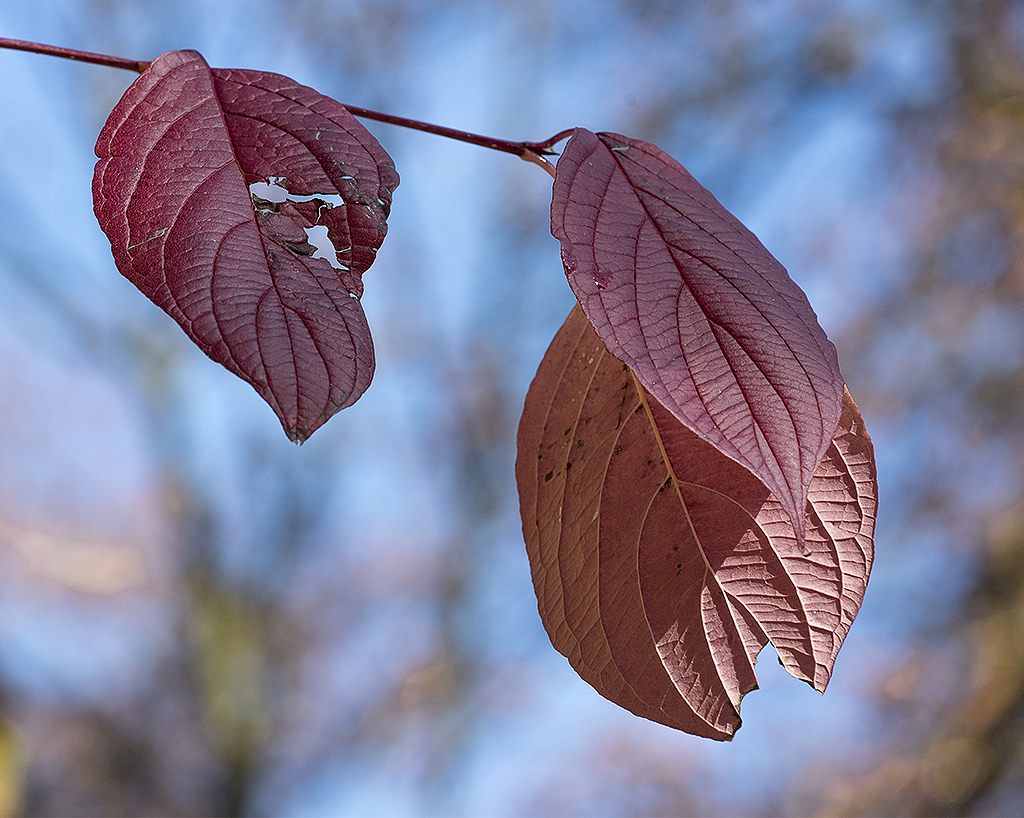4711 WTL ZooviertelKA7_6801 als Smartobjekt-1 Kopie.jpg